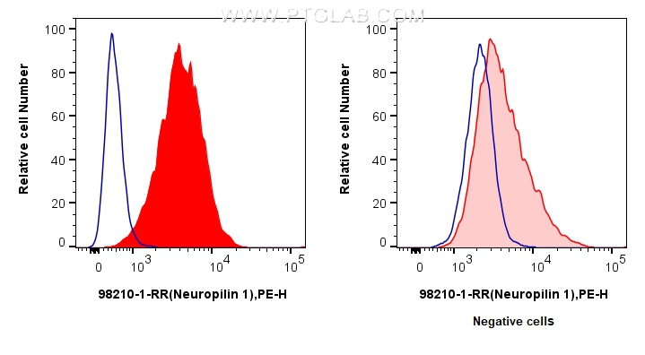 Neuropilin 1/CD304