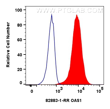 FC experiment of HeLa using 82883-1-RR (same clone as 82883-1-PBS)