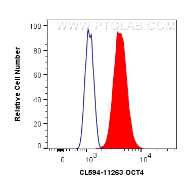 FC experiment of HEK-293T using CL594-11263