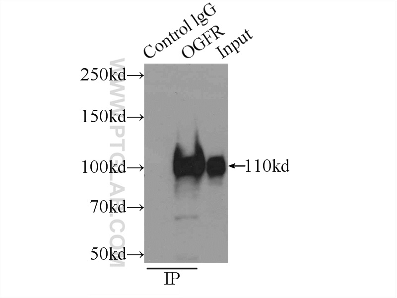 IP experiment of COLO 320 using 11177-1-AP