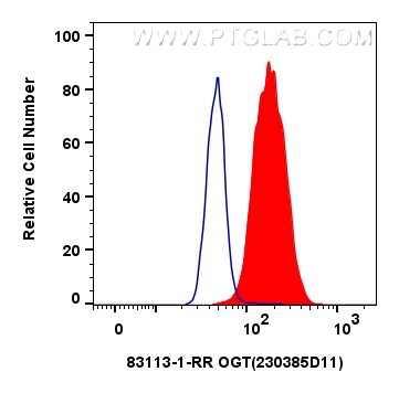 FC experiment of HeLa using 83113-1-RR (same clone as 83113-1-PBS)