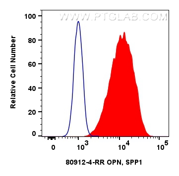 OPN, SPP1