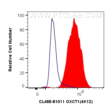 FC experiment of MCF-7 using CL488-81011