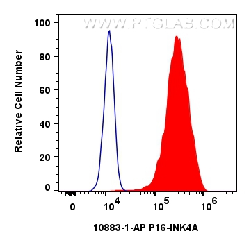 FC experiment of HeLa using 10883-1-AP