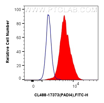 FC experiment of HeLa using CL488-17373