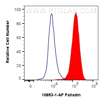 FC experiment of HeLa using 10853-1-AP