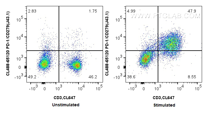 FC experiment of mouse splenocytes using CL488-65120