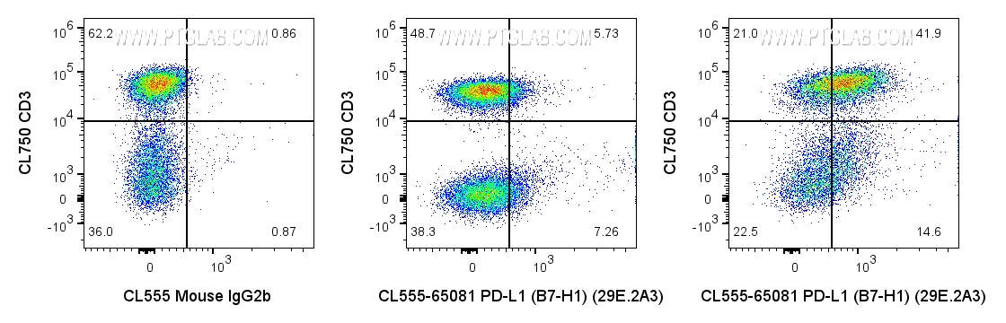 FC experiment of human PBMCs using CL555-65081