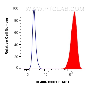 FC experiment of MCF-7 using CL488-15081