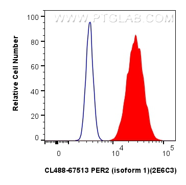 FC experiment of HeLa using CL488-67513