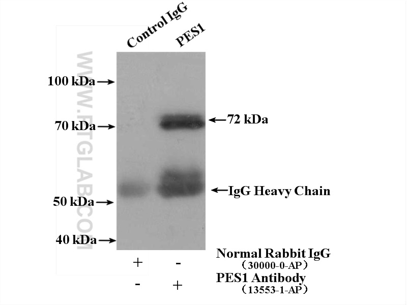 IP experiment of COLO 320 using 13553-1-AP