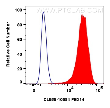 FC experiment of HeLa using CL555-10594