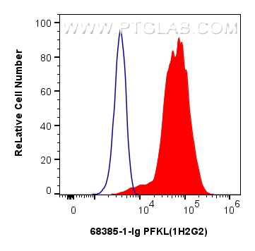 FC experiment of HEK-293 using 68385-1-Ig (same clone as 68385-1-PBS)