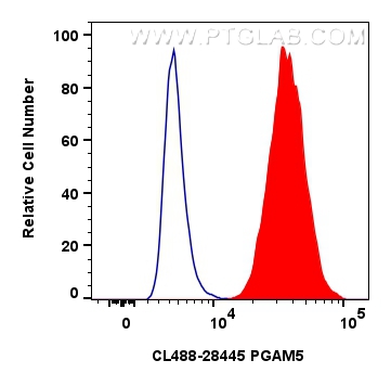 FC experiment of MCF-7 using CL488-28445