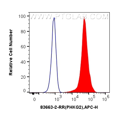 FC experiment of HEK-293T using 83663-2-RR