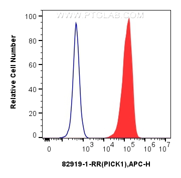 FC experiment of HEK-293T using 82919-1-RR (same clone as 82919-1-PBS)