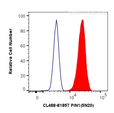 FC experiment of HeLa using CL488-81857