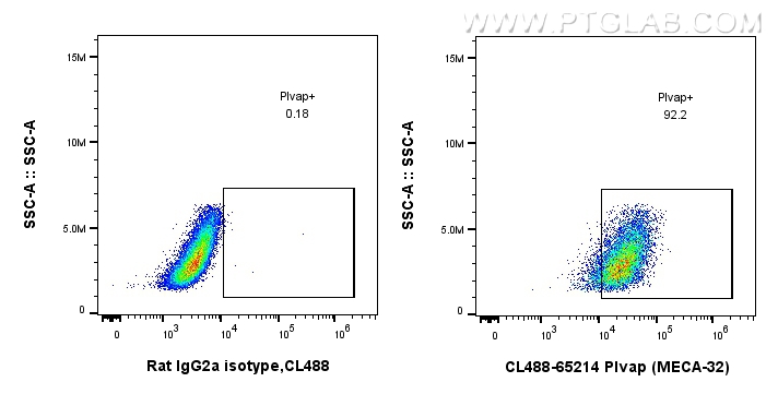 FC experiment of bEnd.3 using CL488-65214