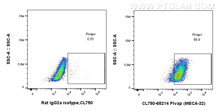 FC experiment of bEnd.3 using CL750-65214