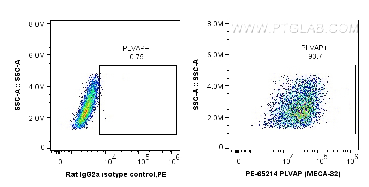 FC experiment of bEnd.3 using PE-65214