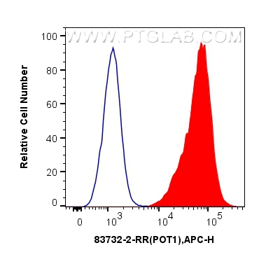 FC experiment of U2OS using 83732-2-RR (same clone as 83732-2-PBS)