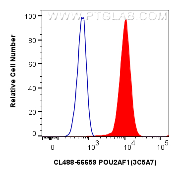 FC experiment of Ramos using CL488-66659