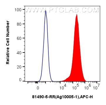 FC experiment of HeLa using 81490-5-RR (same clone as 81490-5-PBS)