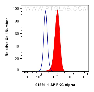 FC experiment of Jurkat using 21991-1-AP