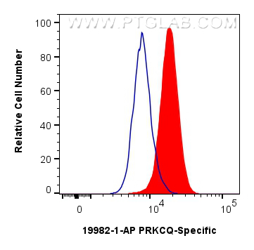 FC experiment of K-562 using 19982-1-AP