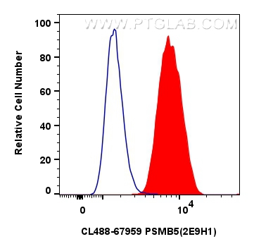 FC experiment of HeLa using CL488-67959