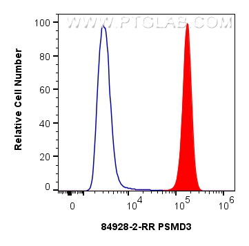 FC experiment of A549 using 84928-2-RR