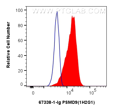 FC experiment of HeLa using 67338-1-Ig (same clone as 67338-1-PBS)