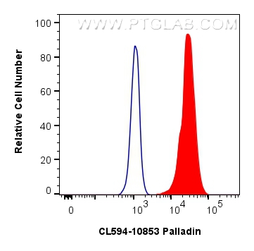 FC experiment of HeLa using CL594-10853