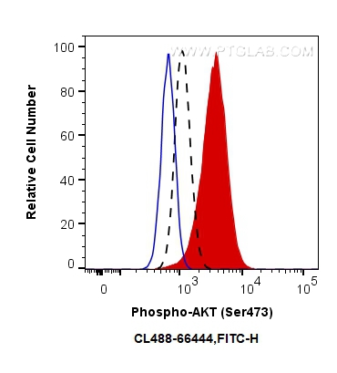 Phospho-AKT (Ser473)