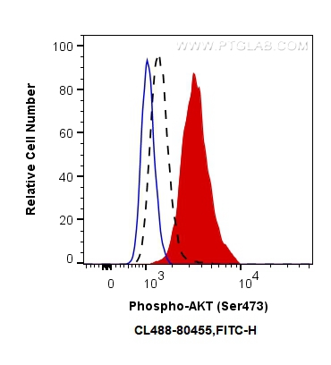 FC experiment of HeLa using CL488-80455