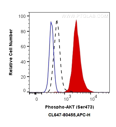 Phospho-AKT (Ser473)