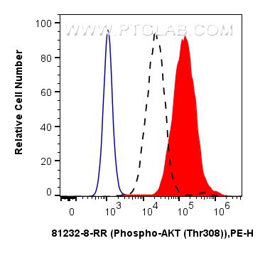 FC experiment of HeLa using 81232-8-RR (same clone as 81232-8-PBS)