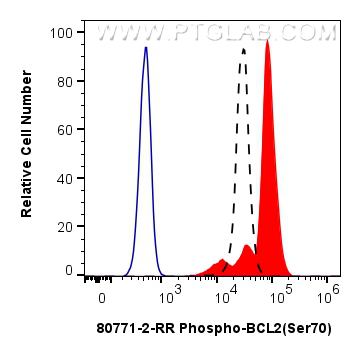 FC experiment of Jurkat using 80771-2-RR (same clone as 80771-2-PBS)