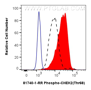 FC experiment of PC-3 using 81740-1-RR (same clone as 81740-1-PBS)