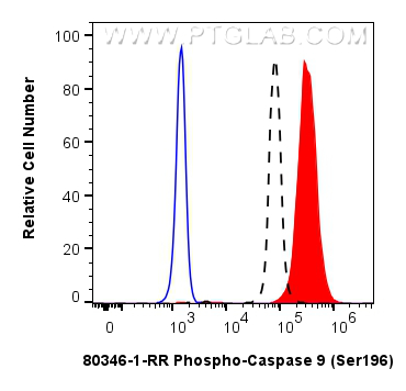 FC experiment of HeLa using 80346-1-RR (same clone as 80346-1-PBS)