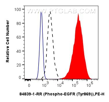 FC experiment of A431 using 84839-1-RR