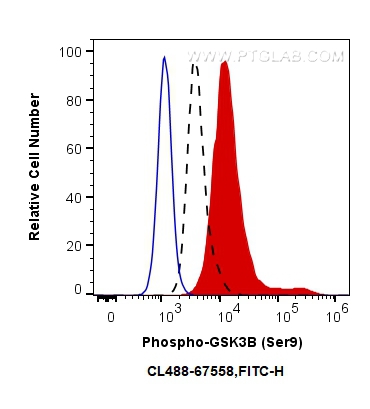 FC experiment of PC-3 using CL488-67558