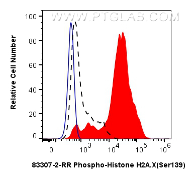 FC experiment of Jurkat using 83307-2-RR