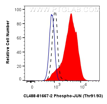 FC experiment of NIH/3T3 using CL488-81667-2