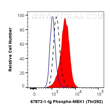 FC experiment of HeLa using 67873-1-Ig