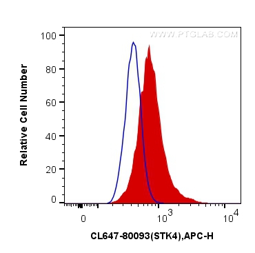 Phospho-MST1 (Thr183)/MST2 (Thr180)