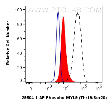 FC experiment of HeLa using 29504-1-AP