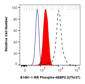 FC experiment of HEK-293T using 81491-1-RR