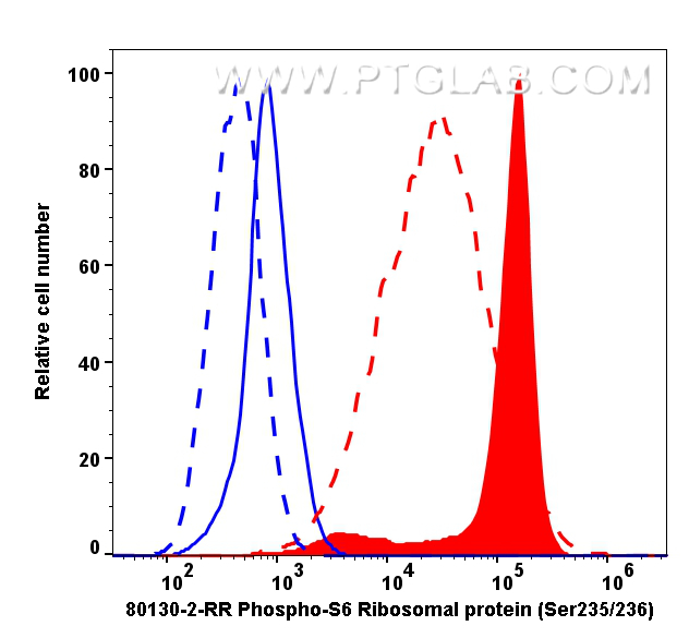 FC experiment of HeLa using 80130-2-RR (same clone as 80130-2-PBS)