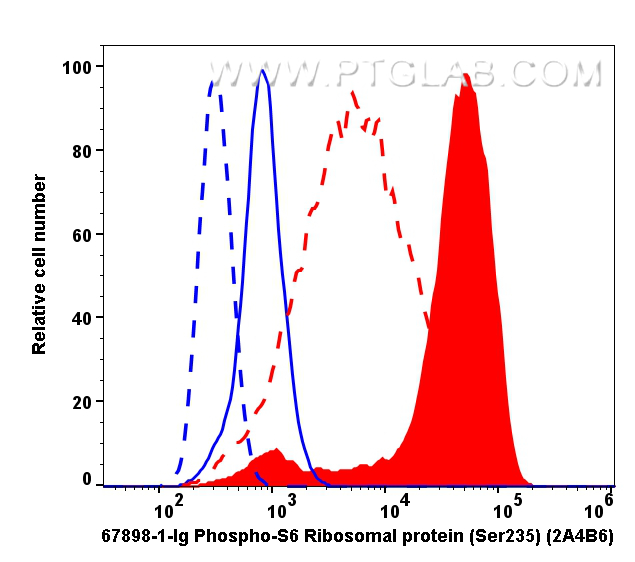 FC experiment of HeLa using 67898-1-Ig